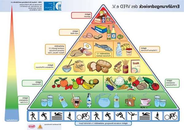 Vergleich Gesunde ernährung rezepte / abnehmen ohne hunger einfach